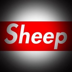 Meet your Posher, Garrett